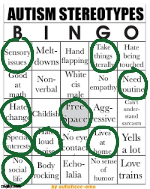 I'm an Autistic female, so thought I'd do this (and follow the stream). | image tagged in autism stereotypes bingo | made w/ Imgflip meme maker