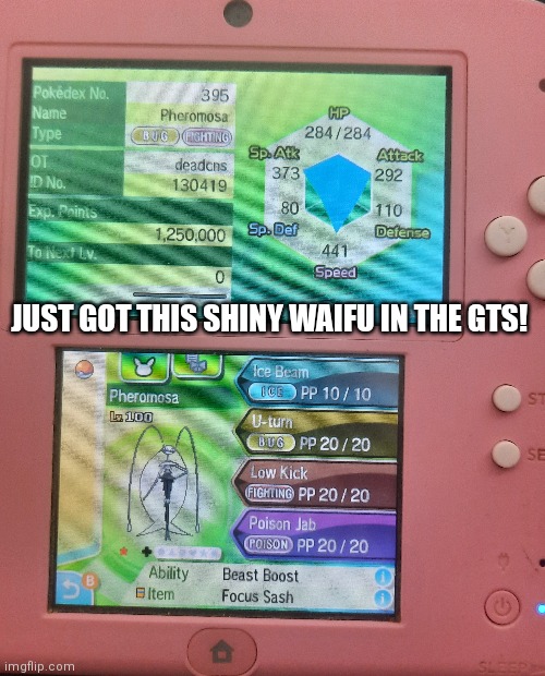 Shiny Hackmon Pheromosa! | JUST GOT THIS SHINY WAIFU IN THE GTS! | image tagged in pokemon,pokemon sun and moon,trade,why are you reading the tags,stop reading the tags,just stop | made w/ Imgflip meme maker