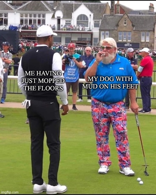 Muddy Dog | MY DOG WITH MUD ON HIS FEET; ME HAVING JUST MOPPED THE FLOORS | image tagged in john daly and tiger woods | made w/ Imgflip meme maker