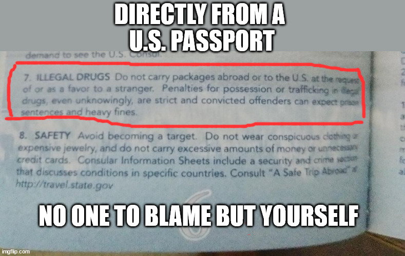 Drugs, Passports and Prison | DIRECTLY FROM A 
U.S. PASSPORT; NO ONE TO BLAME BUT YOURSELF | image tagged in passport | made w/ Imgflip meme maker