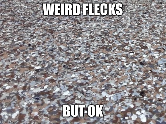 A whole floor of flecks | WEIRD FLECKS; BUT OK | image tagged in flex | made w/ Imgflip meme maker