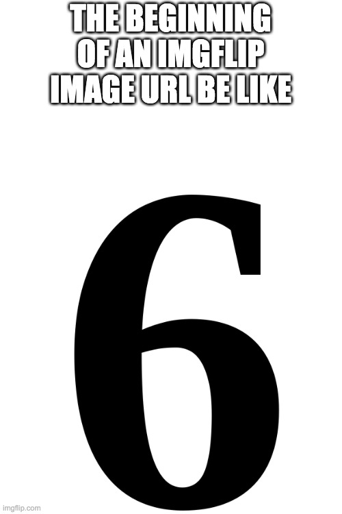 6 | THE BEGINNING OF AN IMGFLIP IMAGE URL BE LIKE | image tagged in 6 | made w/ Imgflip meme maker