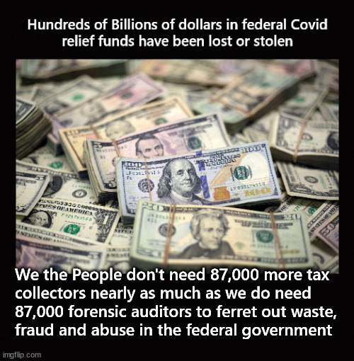 We the People don't need 87,000 more tax collectors nearly | We the People don't need 87,000 more tax
collectors nearly as much as we do need 
87,000 forensic auditors to ferret out waste, 
fraud and abuse in the federal government | image tagged in 87000 irs agents | made w/ Imgflip meme maker