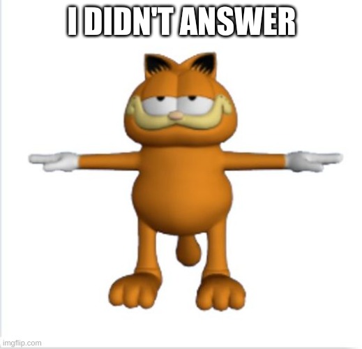 garfield t-pose | I DIDN'T ANSWER | image tagged in garfield t-pose | made w/ Imgflip meme maker