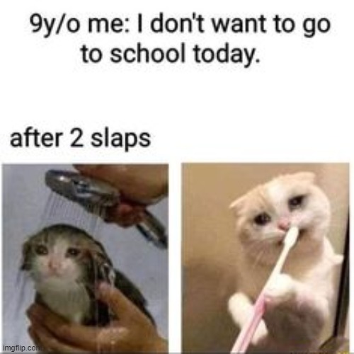 image tagged in middle school | made w/ Imgflip meme maker