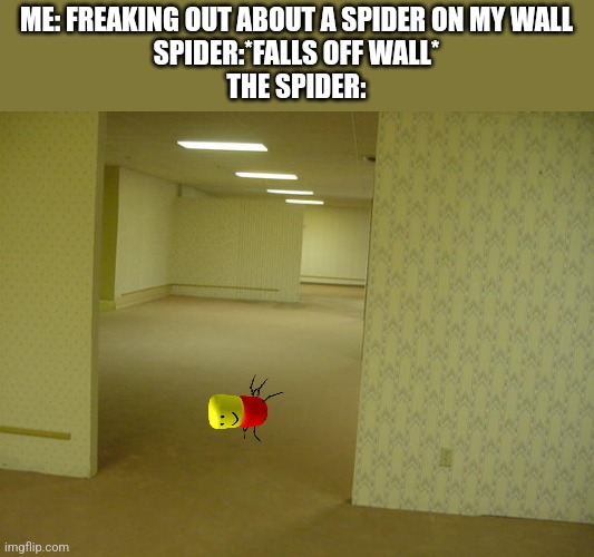 My parents said i was probably just dreaming about the spider and it was never there but I know for a fact I was not dreaming be | ME: FREAKING OUT ABOUT A SPIDER ON MY WALL
SPIDER:*FALLS OFF WALL*
THE SPIDER: | image tagged in the backrooms | made w/ Imgflip meme maker