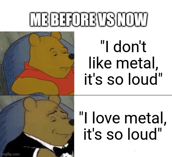 Tuxedo Winnie The Pooh Meme | ME BEFORE VS NOW; "I don't like metal, it's so loud"; "I love metal, it's so loud" | image tagged in memes,tuxedo winnie the pooh,music,metal | made w/ Imgflip meme maker