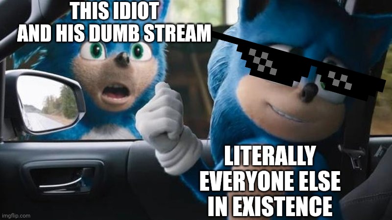 Sonic Movie Old vs New | THIS IDIOT AND HIS DUMB STREAM LITERALLY EVERYONE ELSE IN EXISTENCE | image tagged in sonic movie old vs new | made w/ Imgflip meme maker