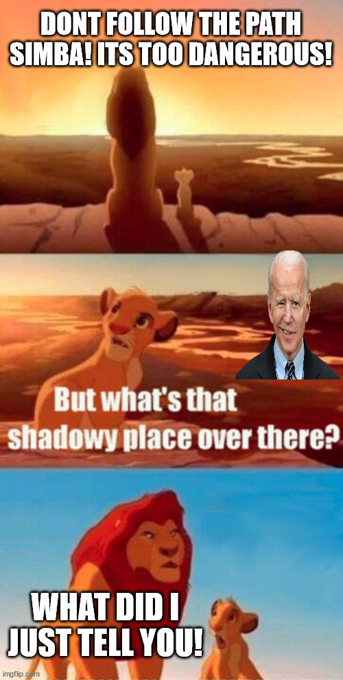 dont ask lol | DONT FOLLOW THE PATH SIMBA! ITS TOO DANGEROUS! WHAT DID I JUST TELL YOU! | image tagged in memes,simba shadowy place | made w/ Imgflip meme maker