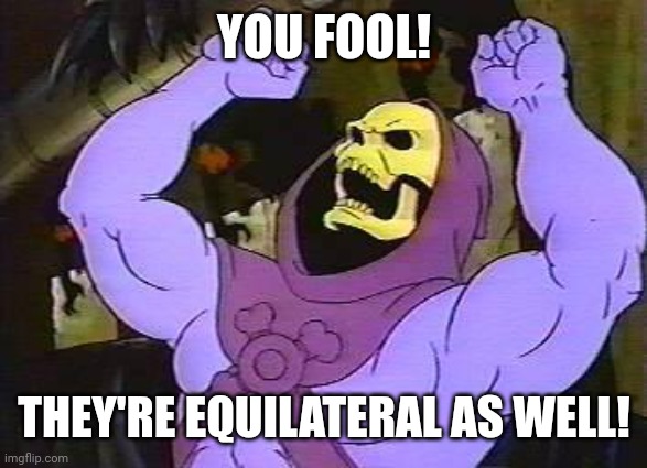 You Fool Skeletor | YOU FOOL! THEY'RE EQUILATERAL AS WELL! | image tagged in you fool skeletor | made w/ Imgflip meme maker