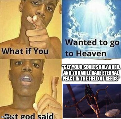 Sorry ? | "GET YOUR SCALES BALANCED, AND YOU WILL HAVE ETERNAL PEACE IN THE FIELD OF REEDS" | image tagged in what if you wanted to go to heaven | made w/ Imgflip meme maker