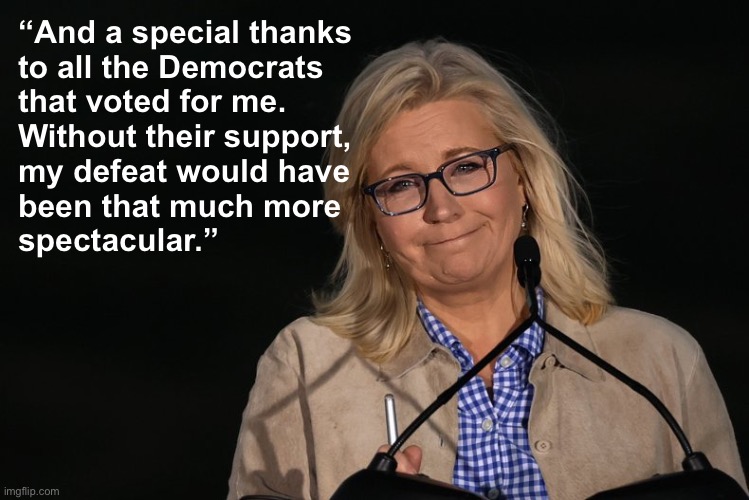 Fake quote, real sentiment | “And a special thanks 

to all the Democrats 
that voted for me.  
Without their support, 
my defeat would have 
been that much more 
spectacular.” | image tagged in liz cheney | made w/ Imgflip meme maker