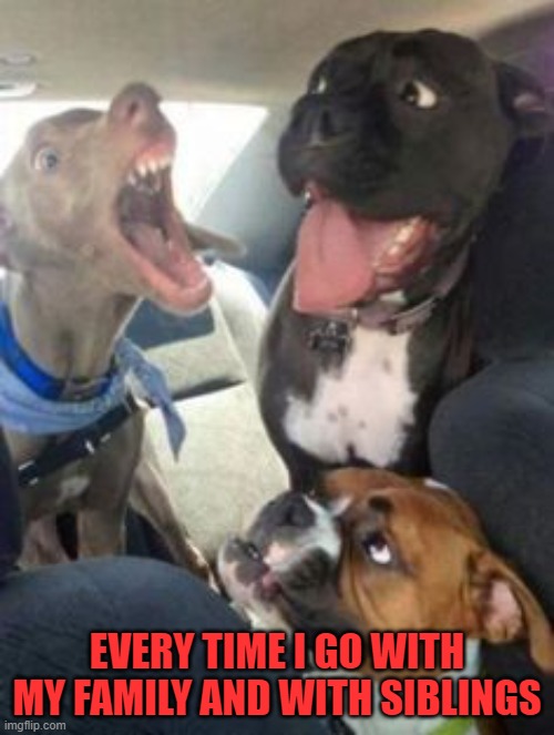 EVERY TIME I GO WITH MY FAMILY AND WITH SIBLINGS | image tagged in dogs | made w/ Imgflip meme maker