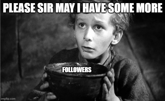 Can I have some more sir? | PLEASE SIR MAY I HAVE SOME MORE; FOLLOWERS | image tagged in can i have some more sir | made w/ Imgflip meme maker