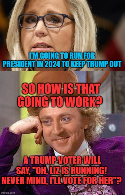 I'M GOING TO RUN FOR PRESIDENT IN 2024 TO KEEP TRUMP OUT; SO HOW IS THAT GOING TO WORK? A TRUMP VOTER WILL SAY, "OH, LIZ IS RUNNING! NEVER MIND, I'LL VOTE FOR HER"? | image tagged in liz cheney,memes,creepy condescending wonka | made w/ Imgflip meme maker