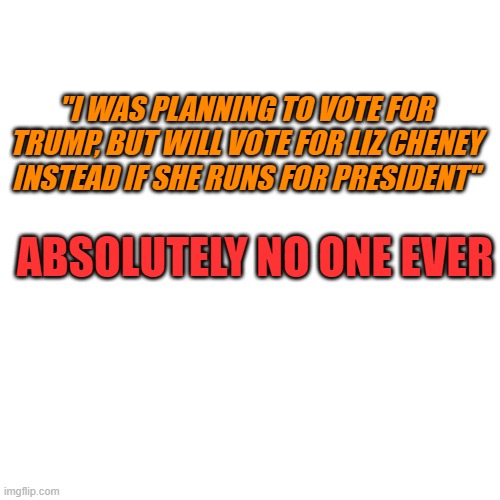 Not even Jan-ey would tell her to run | "I WAS PLANNING TO VOTE FOR TRUMP, BUT WILL VOTE FOR LIZ CHENEY INSTEAD IF SHE RUNS FOR PRESIDENT"; ABSOLUTELY NO ONE EVER | image tagged in liz chenney,trump,president | made w/ Imgflip meme maker