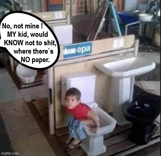 Kids - who`d have `em ! | No, not mine !             
MY kid, would       
KNOW not to shit,    
where there`s
  NO paper. | image tagged in toilet humor | made w/ Imgflip meme maker