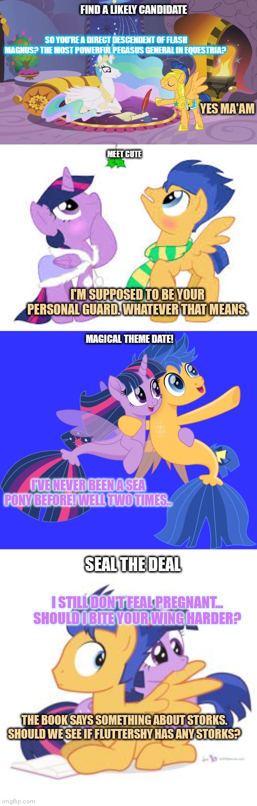 Alicorn breeding program goes sideways... | FIND A LIKELY CANDIDATE SO YOU'RE A DIRECT DESCENDENT OF FLASH MAGNUS? THE MOST POWERFUL PEGASUS GENERAL IN EQUESTRIA? YES MA'AM MEET CUTE I | image tagged in twilight sparkle,flash sentry,mlp,alicorns | made w/ Imgflip meme maker