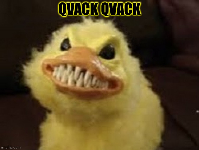 Heck duck needs meat | QVACK QVACK | image tagged in heck,duck,nom nom nom | made w/ Imgflip meme maker
