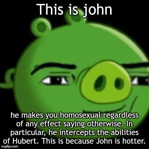 fuck hubert | This is john; he makes you homosexual regardless of any effect saying otherwise. In particular, he intercepts the abilities of Hubert. This is because John is hotter. | image tagged in bad piggy | made w/ Imgflip meme maker