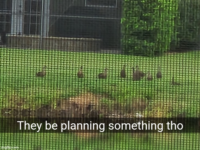 They be planning something tho | made w/ Imgflip meme maker