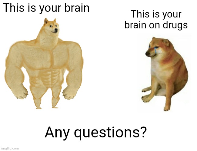 Ah, the anti-drug propaganda of the 80s and 90s revisited in meme format. |  This is your brain; This is your brain on drugs; Any questions? | image tagged in memes,buff doge vs cheems,brain,brain on drugs | made w/ Imgflip meme maker