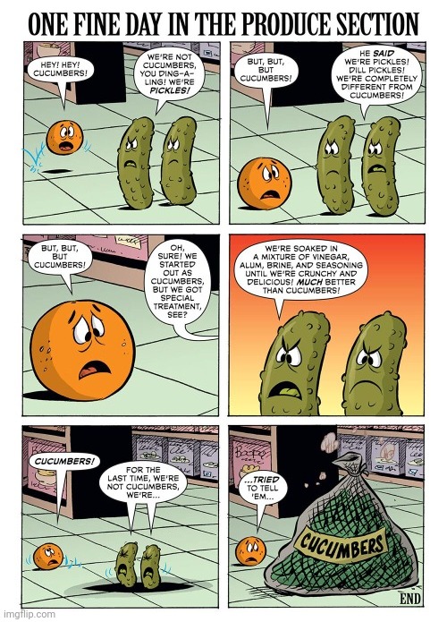 Pickles | image tagged in pickles,pickle,cucumbers,cucumber,comics,comics/cartoons | made w/ Imgflip meme maker