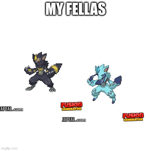 my fellas | MY FELLAS | made w/ Imgflip meme maker