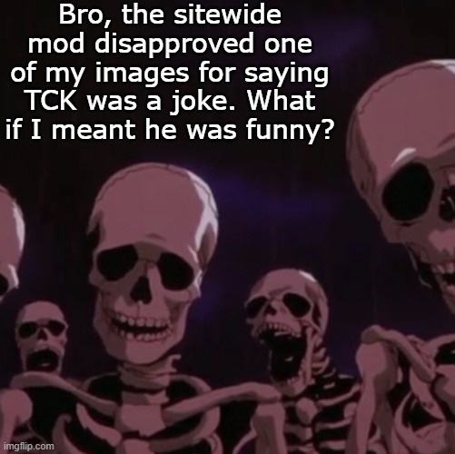 He said harrassment | Bro, the sitewide mod disapproved one of my images for saying TCK was a joke. What if I meant he was funny? | image tagged in roasting skeletons | made w/ Imgflip meme maker