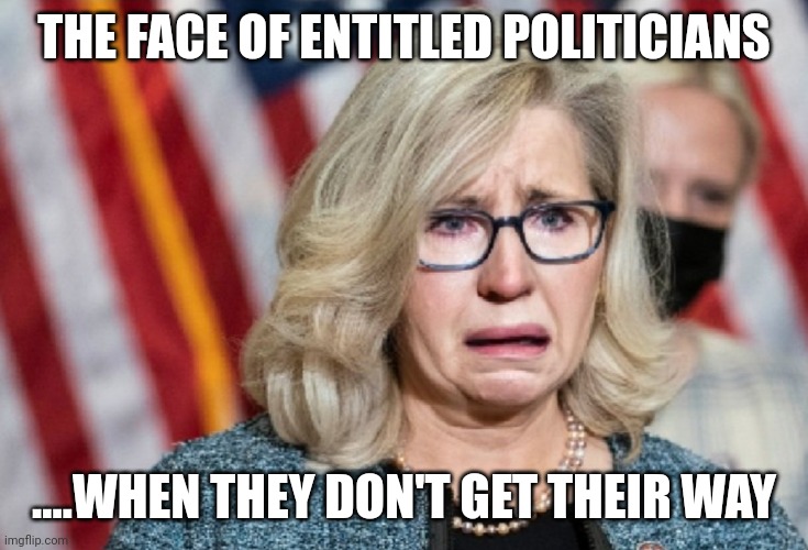 Never was, never will be for the people | THE FACE OF ENTITLED POLITICIANS; ....WHEN THEY DON'T GET THEIR WAY | image tagged in liz cheney | made w/ Imgflip meme maker