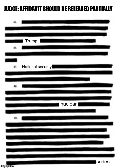 Redacted | JUDGE: AFFIDAVIT SHOULD BE RELEASED PARTIALLY; Trump; National security; nuclear; codes. | image tagged in redacted | made w/ Imgflip meme maker