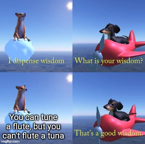 Wisdom dog | You can tune a flute, but you can't flute a tuna | image tagged in wisdom dog | made w/ Imgflip meme maker