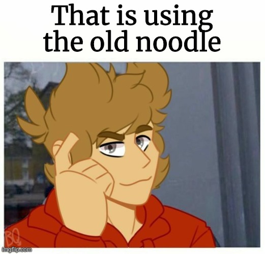 tord smart | That is using the old noodle | image tagged in tord smart | made w/ Imgflip meme maker