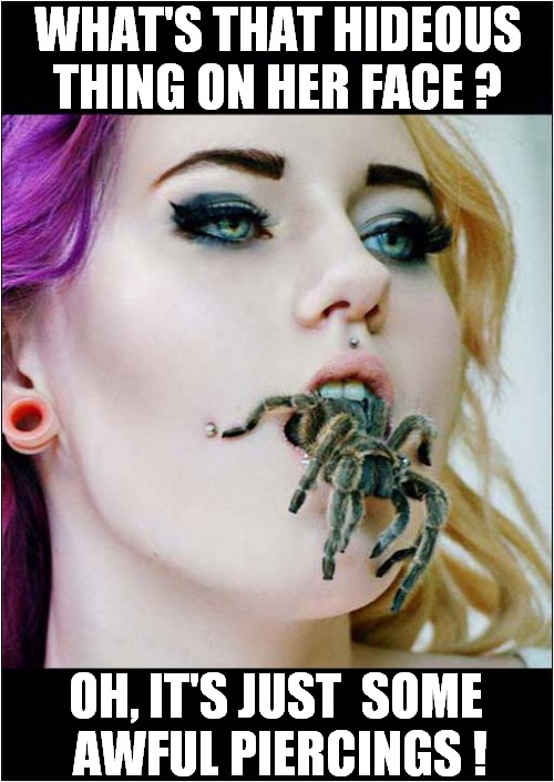 But Why, Why Would You Do That ? | WHAT'S THAT HIDEOUS THING ON HER FACE ? OH, IT'S JUST  SOME 
AWFUL PIERCINGS ! | image tagged in but why why would you do that,spider,piercings,horrible,face | made w/ Imgflip meme maker