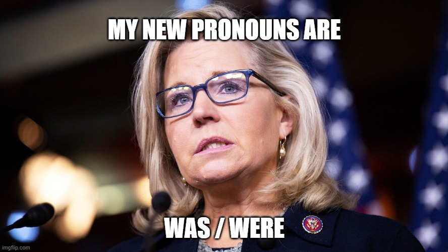 Liz WAS | MY NEW PRONOUNS ARE; WAS / WERE | made w/ Imgflip meme maker
