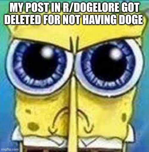 Angry Spunch Bop | MY POST IN R/DOGELORE GOT DELETED FOR NOT HAVING DOGE | image tagged in angry spunch bop | made w/ Imgflip meme maker