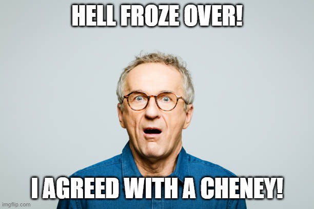 OMG! | HELL FROZE OVER! I AGREED WITH A CHENEY! | image tagged in liz cheney | made w/ Imgflip meme maker