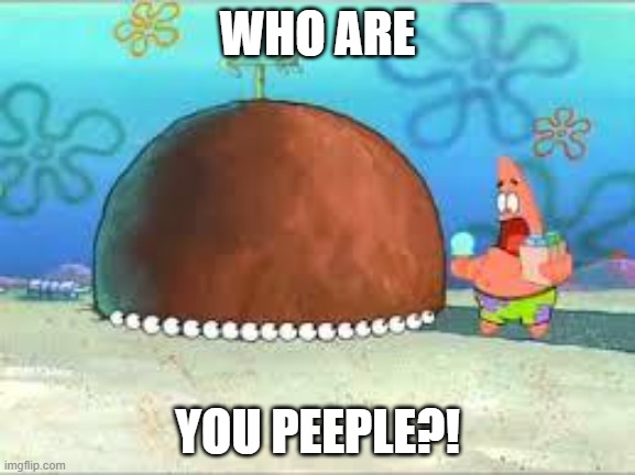 WHO ARE YOU PEOPLE? | WHO ARE YOU PEEPLE?! | image tagged in who are you people | made w/ Imgflip meme maker