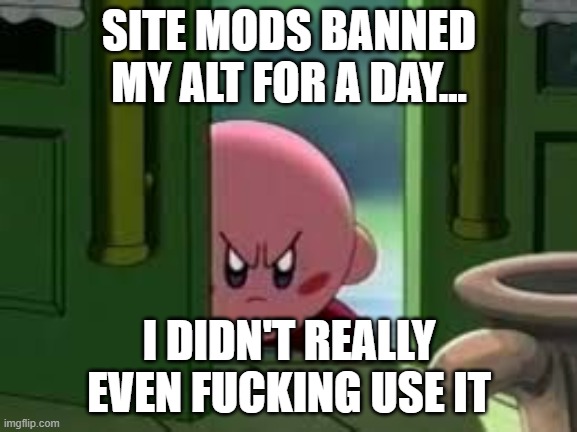 Site mods = 1 brain cell | SITE MODS BANNED MY ALT FOR A DAY... I DIDN'T REALLY EVEN FUCKING USE IT | image tagged in pissed off kirby | made w/ Imgflip meme maker