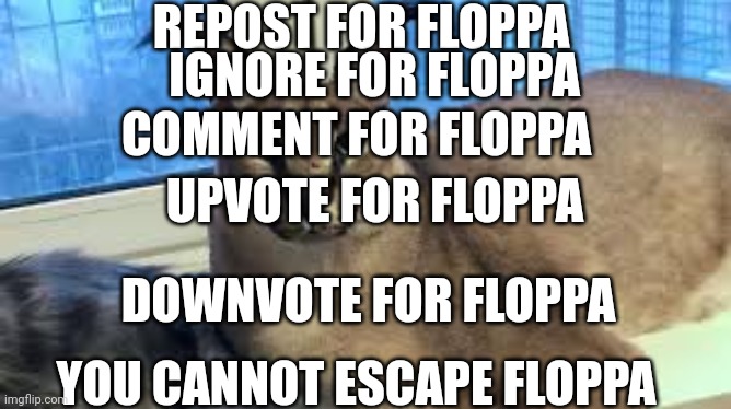 there is no floppecscape | REPOST FOR FLOPPA; IGNORE FOR FLOPPA; COMMENT FOR FLOPPA; UPVOTE FOR FLOPPA; DOWNVOTE FOR FLOPPA; YOU CANNOT ESCAPE FLOPPA | image tagged in floppa | made w/ Imgflip meme maker