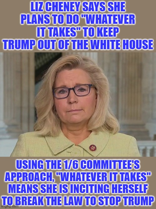 'Whatever it takes' means anything required to achieve her objective. Lying? Libel? Assault? Even murder? Where will she stop? | LIZ CHENEY SAYS SHE PLANS TO DO "WHATEVER IT TAKES" TO KEEP TRUMP OUT OF THE WHITE HOUSE; USING THE 1/6 COMMITTEE'S APPROACH, "WHATEVER IT TAKES" MEANS SHE IS INCITING HERSELF TO BREAK THE LAW TO STOP TRUMP | image tagged in liz cheney,rino,libtard,bye bye liz,triggered liberal,liberal hypocrisy | made w/ Imgflip meme maker