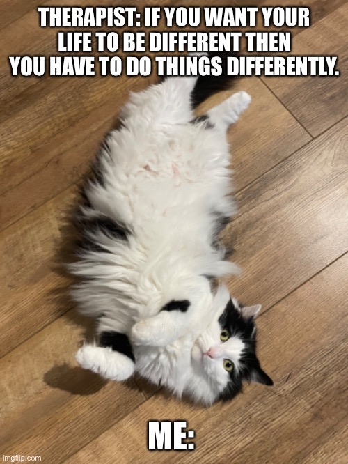 Cat therapy | THERAPIST: IF YOU WANT YOUR LIFE TO BE DIFFERENT THEN YOU HAVE TO DO THINGS DIFFERENTLY. ME: | image tagged in cats,therapy | made w/ Imgflip meme maker