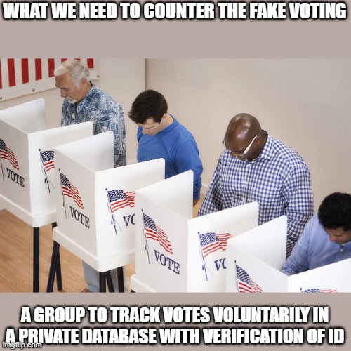 What we need is... | WHAT WE NEED TO COUNTER THE FAKE VOTING; A GROUP TO TRACK VOTES VOLUNTARILY IN A PRIVATE DATABASE WITH VERIFICATION OF ID | image tagged in voting booth,private database | made w/ Imgflip meme maker