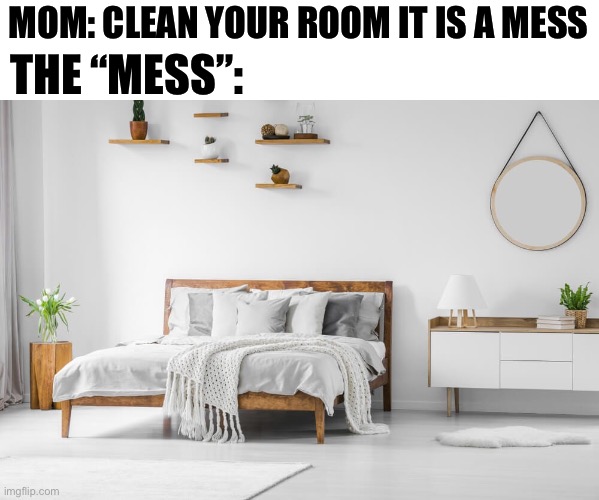 This happens to everyone | THE “MESS”:; MOM: CLEAN YOUR ROOM IT IS A MESS | image tagged in clean your room,clean bedroom,parents,middle school,oh wow are you actually reading these tags,stop reading the tags | made w/ Imgflip meme maker