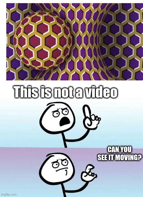 Its really cool | This is not a video; CAN YOU SEE IT MOVING? | image tagged in speechless stickman | made w/ Imgflip meme maker