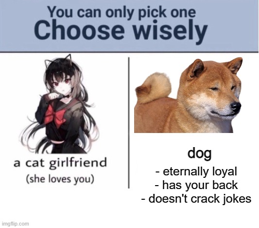 choose wisely. | - eternally loyal
- has your back
- doesn't crack jokes; dog | image tagged in choose wisely | made w/ Imgflip meme maker