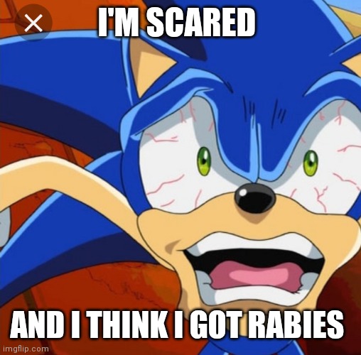 Crazy Sonic | I'M SCARED; AND I THINK I GOT RABIES | image tagged in funny memes | made w/ Imgflip meme maker