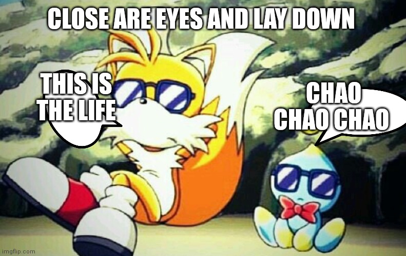 Tails and cheese | CLOSE ARE EYES AND LAY DOWN; THIS IS THE LIFE; CHAO CHAO CHAO | image tagged in funny memes | made w/ Imgflip meme maker