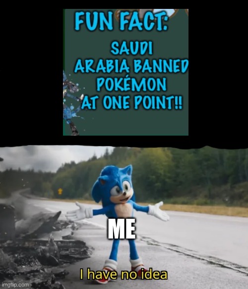 i don`t get it | ME | image tagged in sonic i have no idea | made w/ Imgflip meme maker