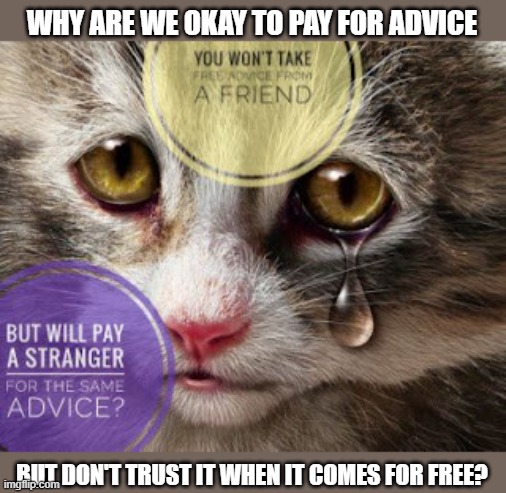 This #lolcat wonders why we find it hard to accept free advice | WHY ARE WE OKAY TO PAY FOR ADVICE; BUT DON'T TRUST IT WHEN IT COMES FOR FREE? | image tagged in lolcat,think about it,advice | made w/ Imgflip meme maker